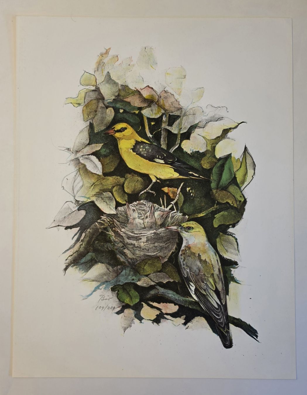 Grafica & Litografie: Willy Eugen Bär  Litho. Nr. handsign. Tier-Motiv,  50x40cm – Usato da Emmenbrücke venduto da Kunstankaufverkauf9