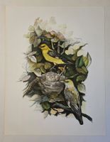Willy Eugen Bär  Litho. Nr. handsign. Tier-Motiv,  50x40cm