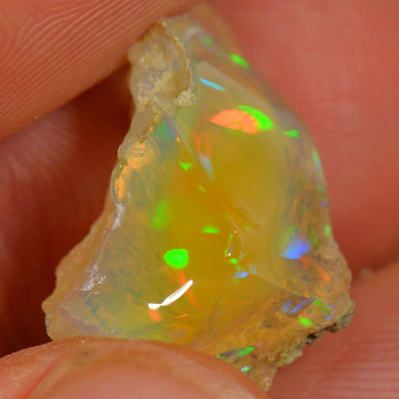 Pietre preziose: 10.8 Karat - Roher Äthiopischer Welo Opal – Nuovo (secondo la descrizione) da Rüti ZH venduto da DeinOpal 2