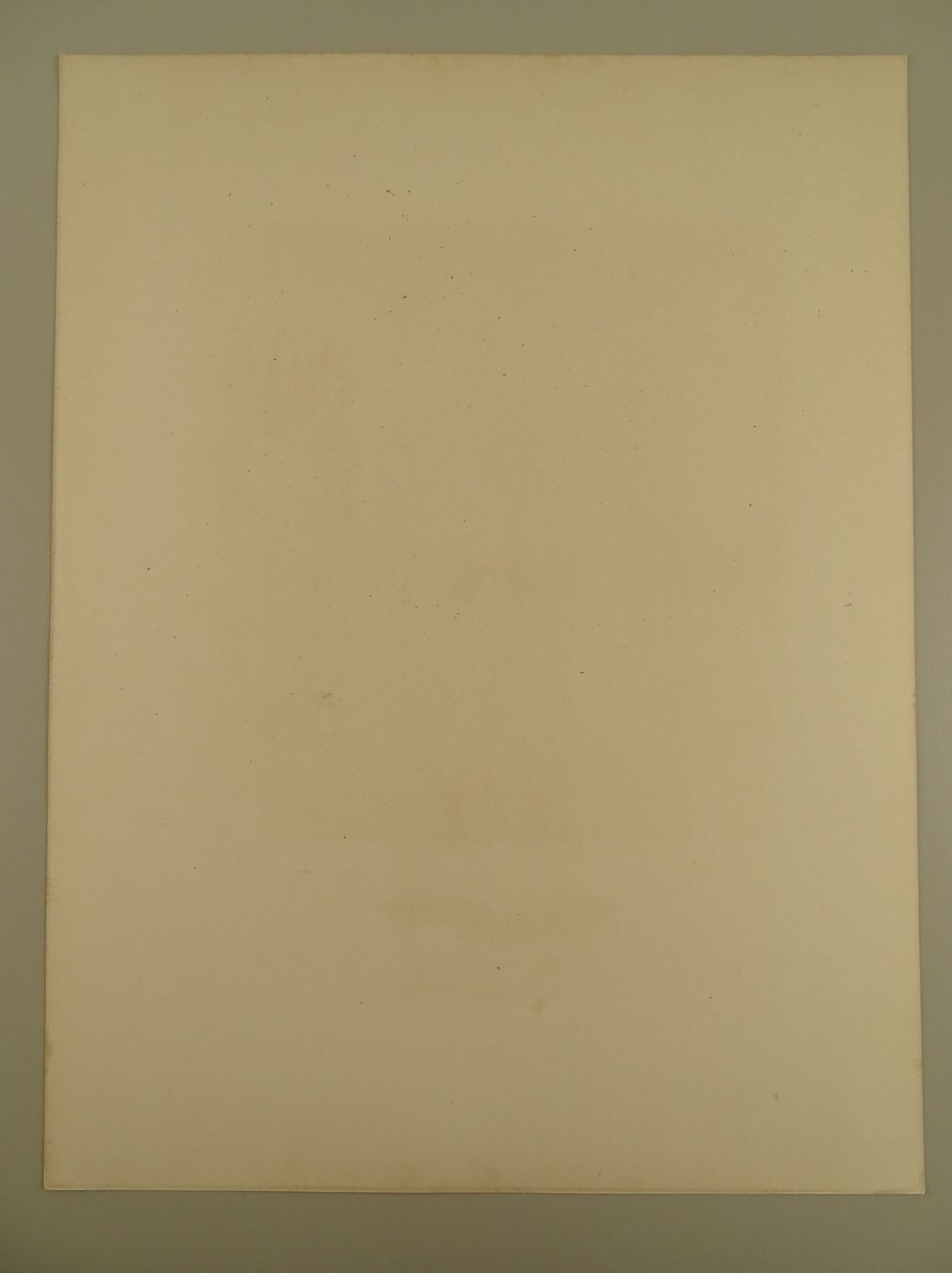 Grafica & Litografie: HANS MEYER-KASSEL: JURISPRUDENZ, BOTANIK…, JUGENDSTIL – Usato da Grüningen venduto da Kartensammler 5