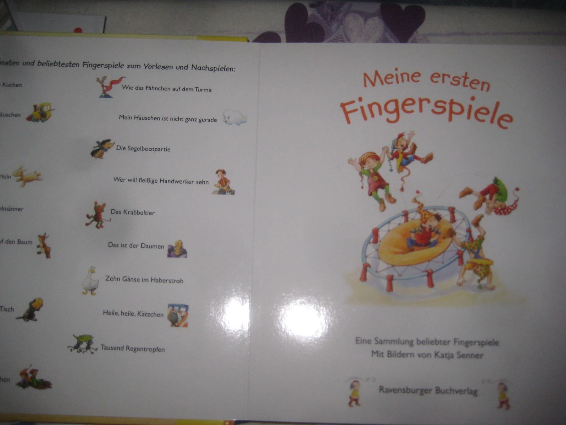 Libri: MEIN ERSTE KINDERBIBLIOTHEK – Usato da Uster venduto da flocke1 3