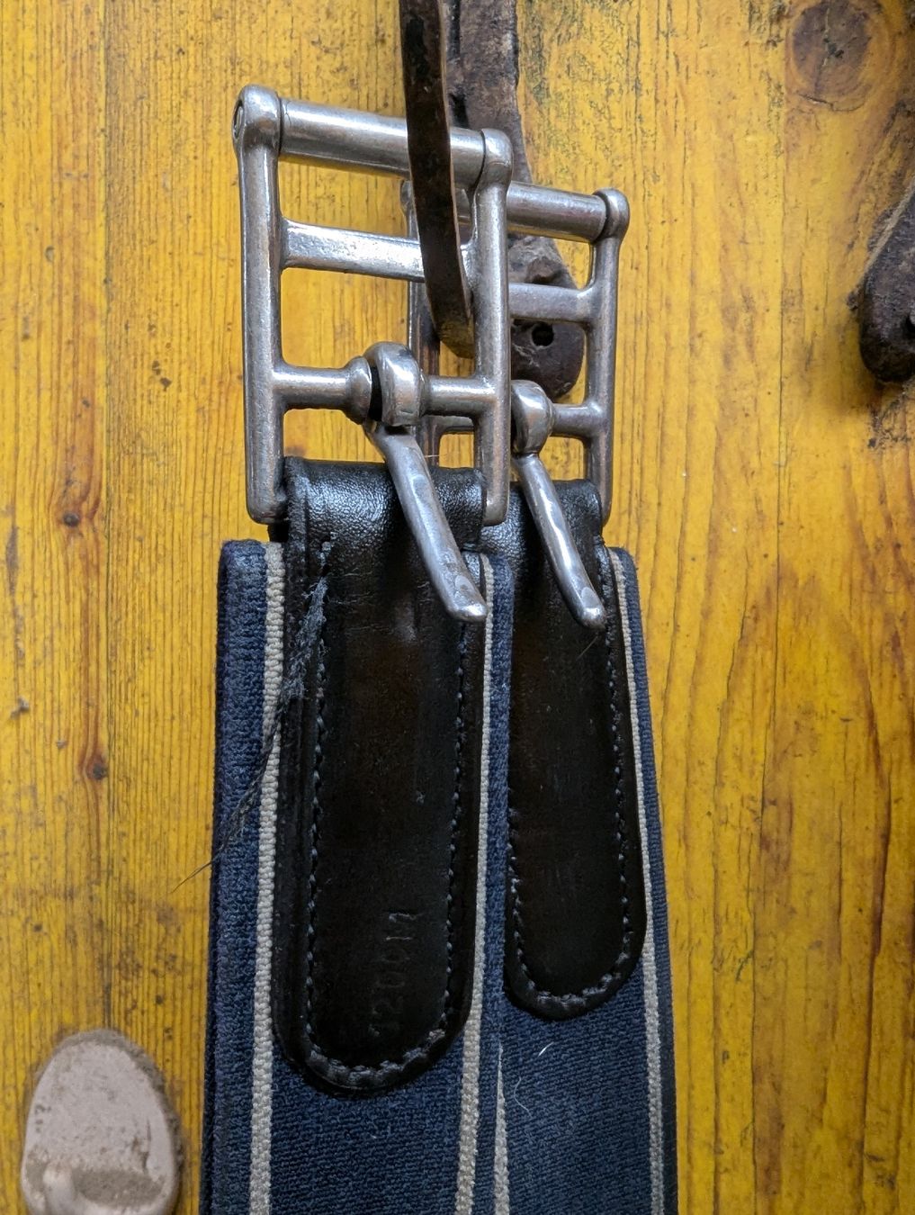 Selle & Accessori: Springgurt – Usato da Rüti zh venduto da hae_p9fs 1