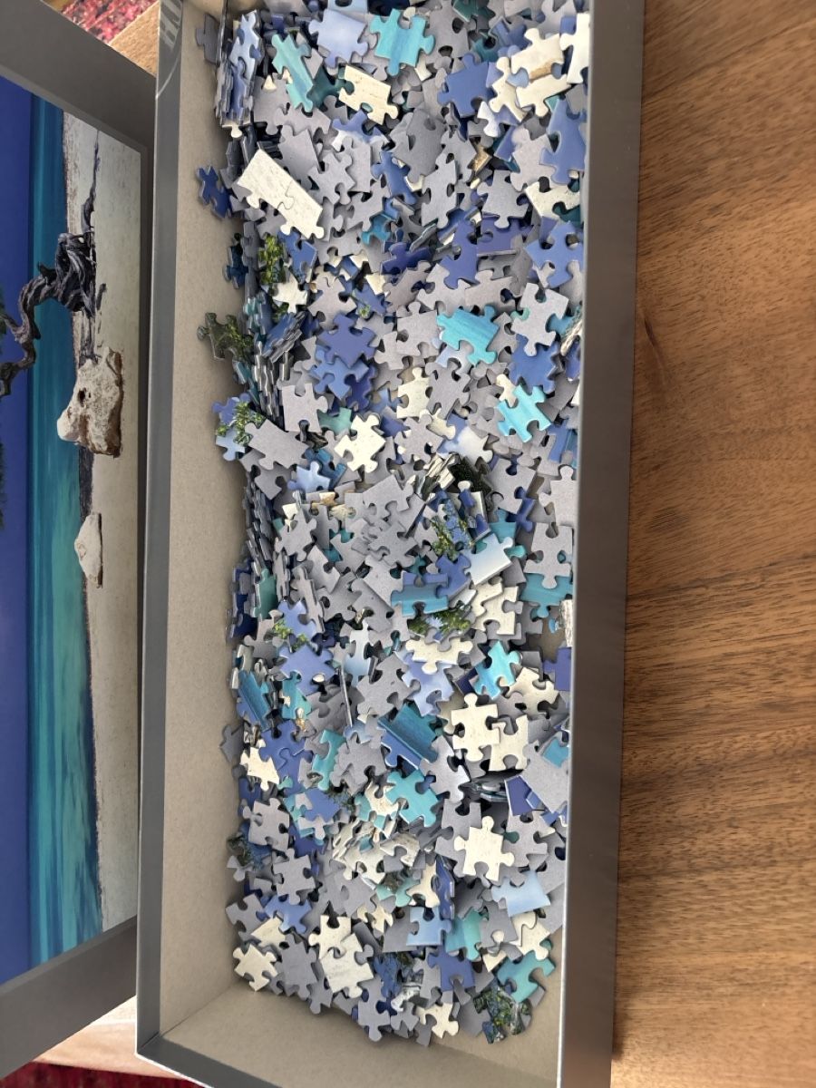 Puzzle: Puzzle: Edition Humboldt, Divi Divi Tree, 1000 Teile – Usato da Kriens venduto da mir_v8ww 3