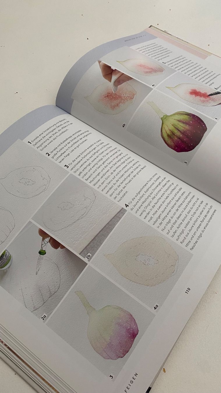 Libri: Buch: Malen mit Aquarell von Monica Schick – Usato da Sirnach venduto da mar_7m82 2