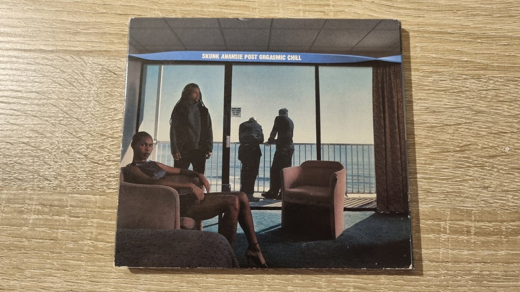 CD: Skunk Anansie - Post Orgasmic Chill – Usato da Hagenbuch ZH venduto da lecterr55