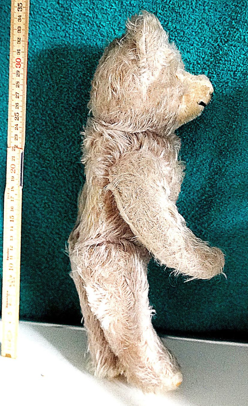 Giocattoli: Teddybär mit Gelben Augen – Usato da Baar venduto da 2cvbaar 2