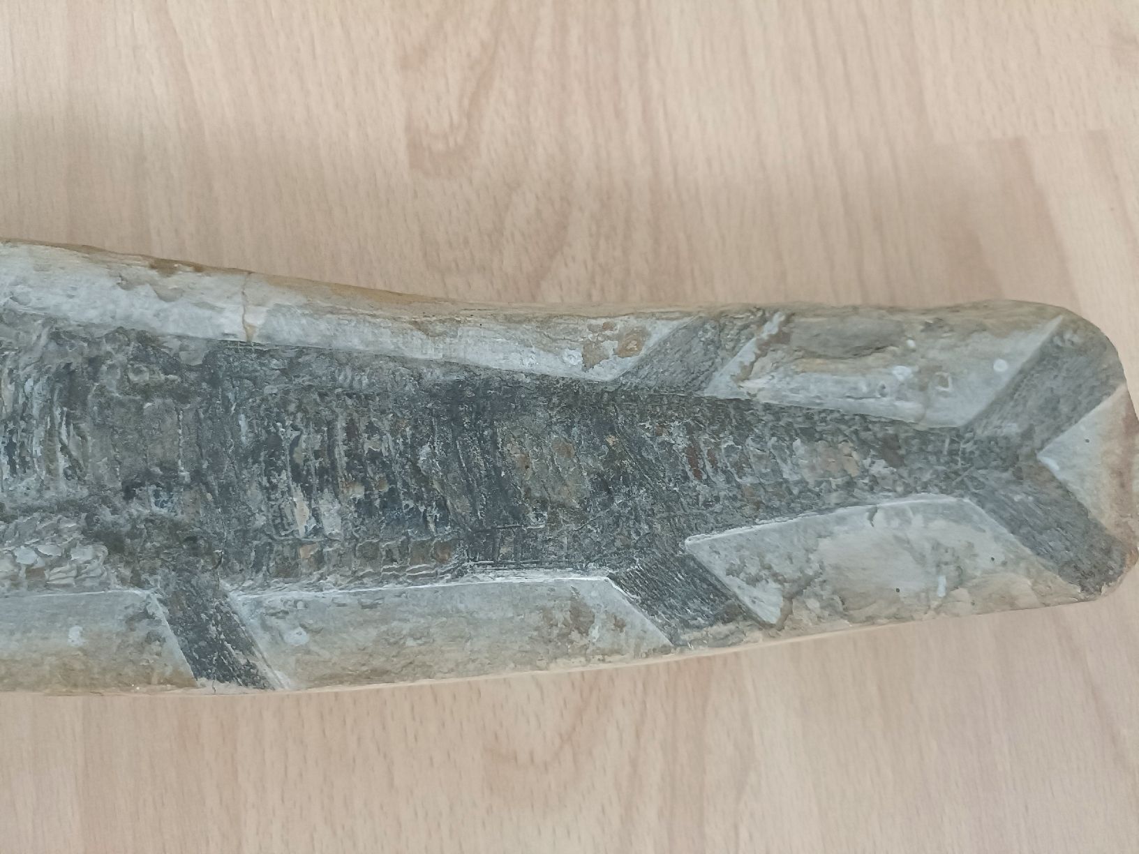 Fossiles: Fossil Fisch – D'occasion à Wettingen par LadyBaba 2