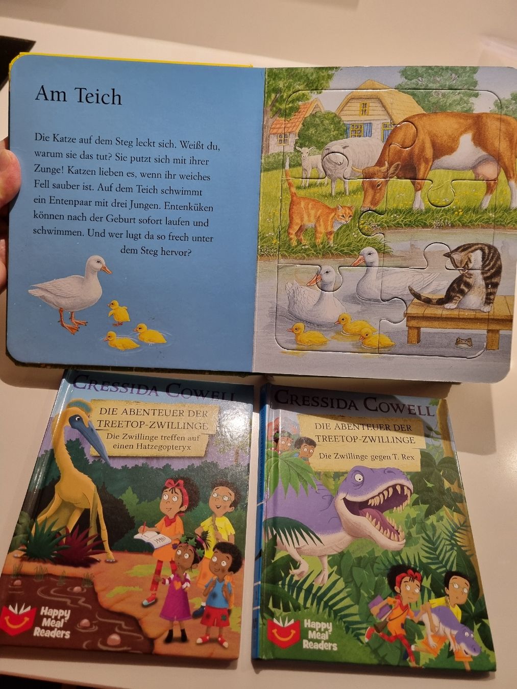 Livres: 3 Kinderbücher – D'occasion à Steinen par turbogeiss99 6