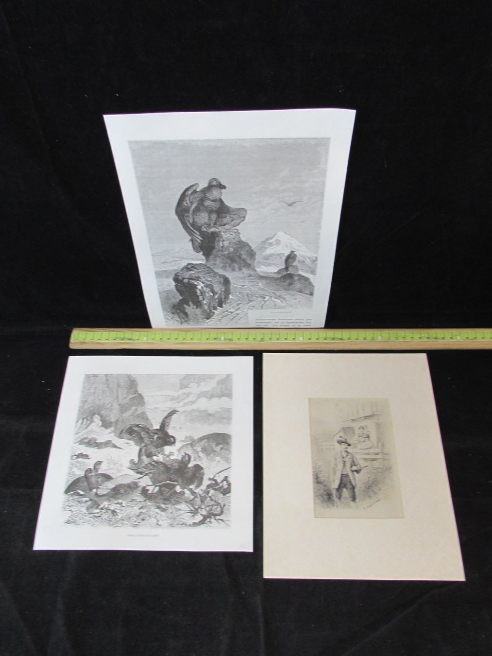 Gravures: Jagdt,Gebirge, 19.Jh. – D'occasion à Walchwil par Shells1