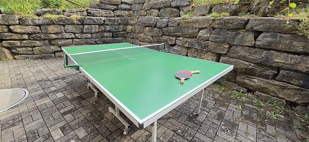 Tennis da tavolo: Tischtennistisch Jin Juan  – Usato da Spiez venduto da Podex 2
