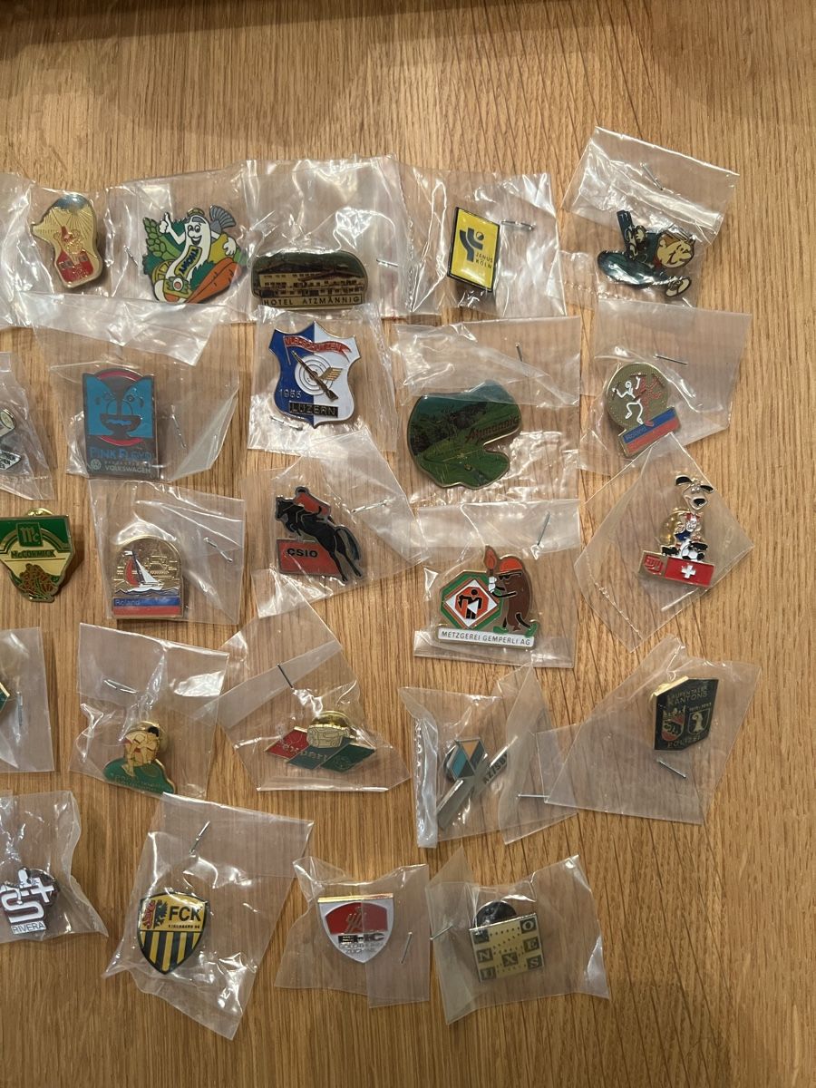 Spille & Fermagli: Grosse Sammlung von Pins – Usato da Staufen venduto da Dosam 2