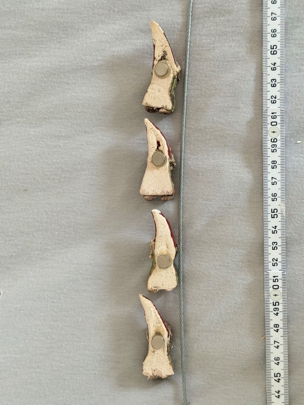 Calamite: Magnetische Aufhänge – Usato da Solothurn venduto da Simuz 1