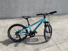 Kindervelo Orbea 24 Zoll