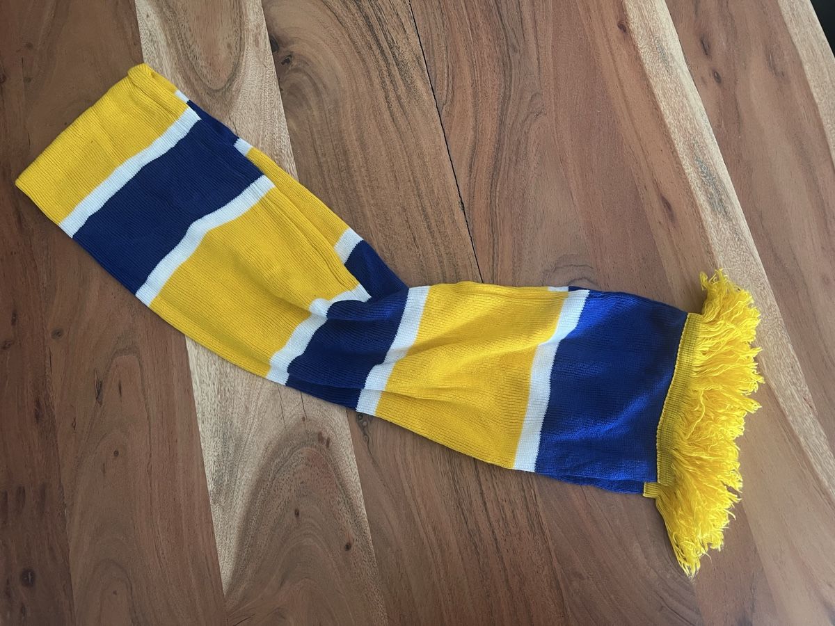 Foulard & Sciarpe: HC Davos Fanschal – Usato da Gerzensee venduto da JaLe14