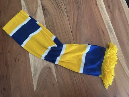 HC Davos Fanschal