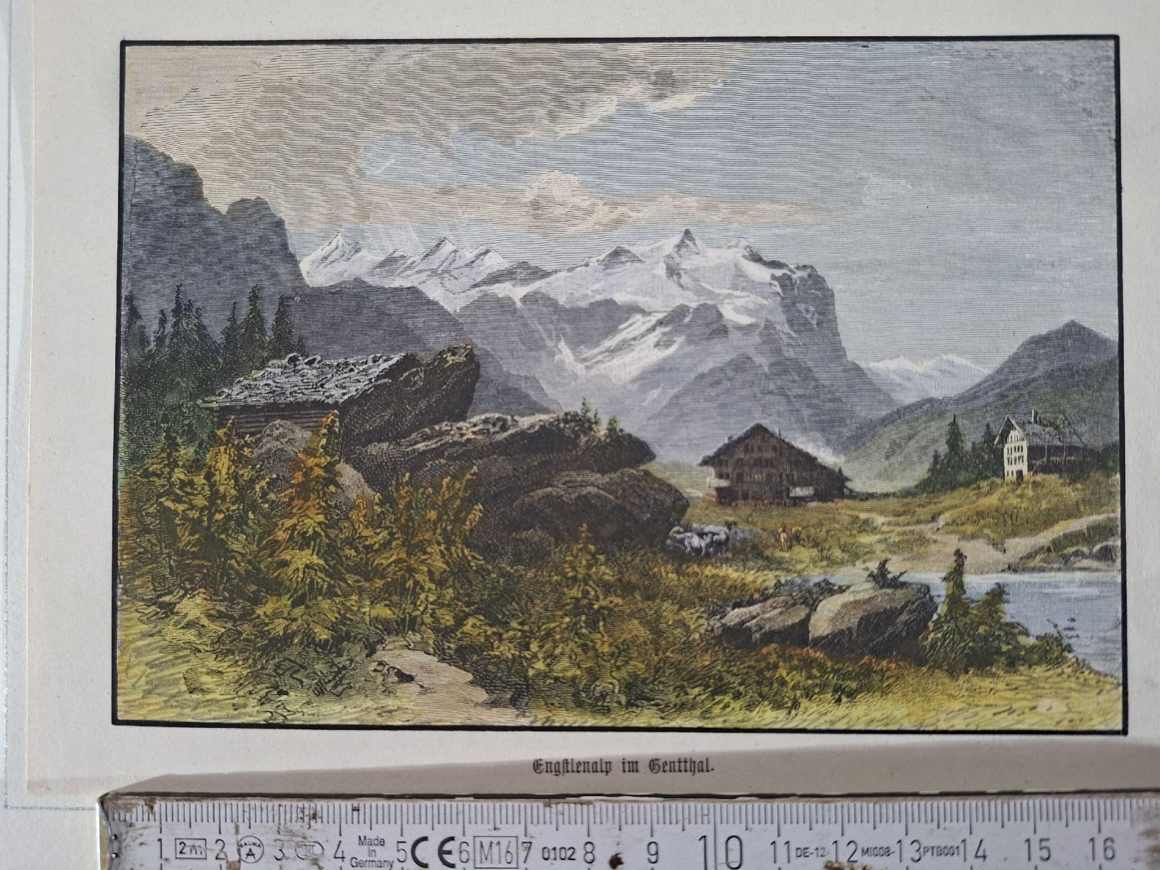 Incisioni: Lot  56 , 10 Stiche  – Usato da Grindelwald venduto da carro5 7