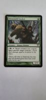MTG – Ulvenwald Tracker