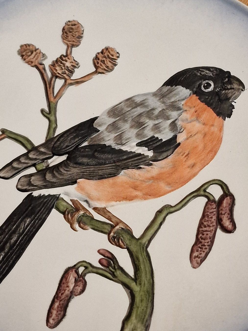 Piatti: Wunderschöner Vogel Teller, Deko Teller, Wandteller Gimpel – Usato da Zürich venduto da Allerlei_Shop 1