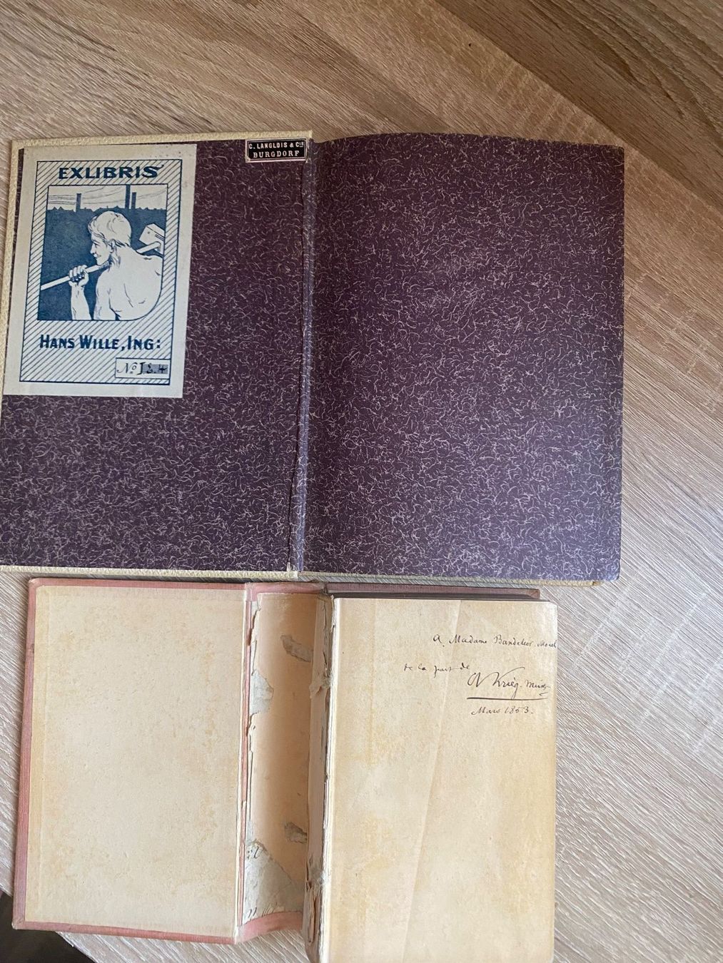 Libri: 2 Bücher antik 1853 - 1904 – Usato da Bösingen venduto da Trigusik 1