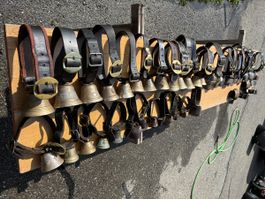 42 Schafglöggli/Treicheli