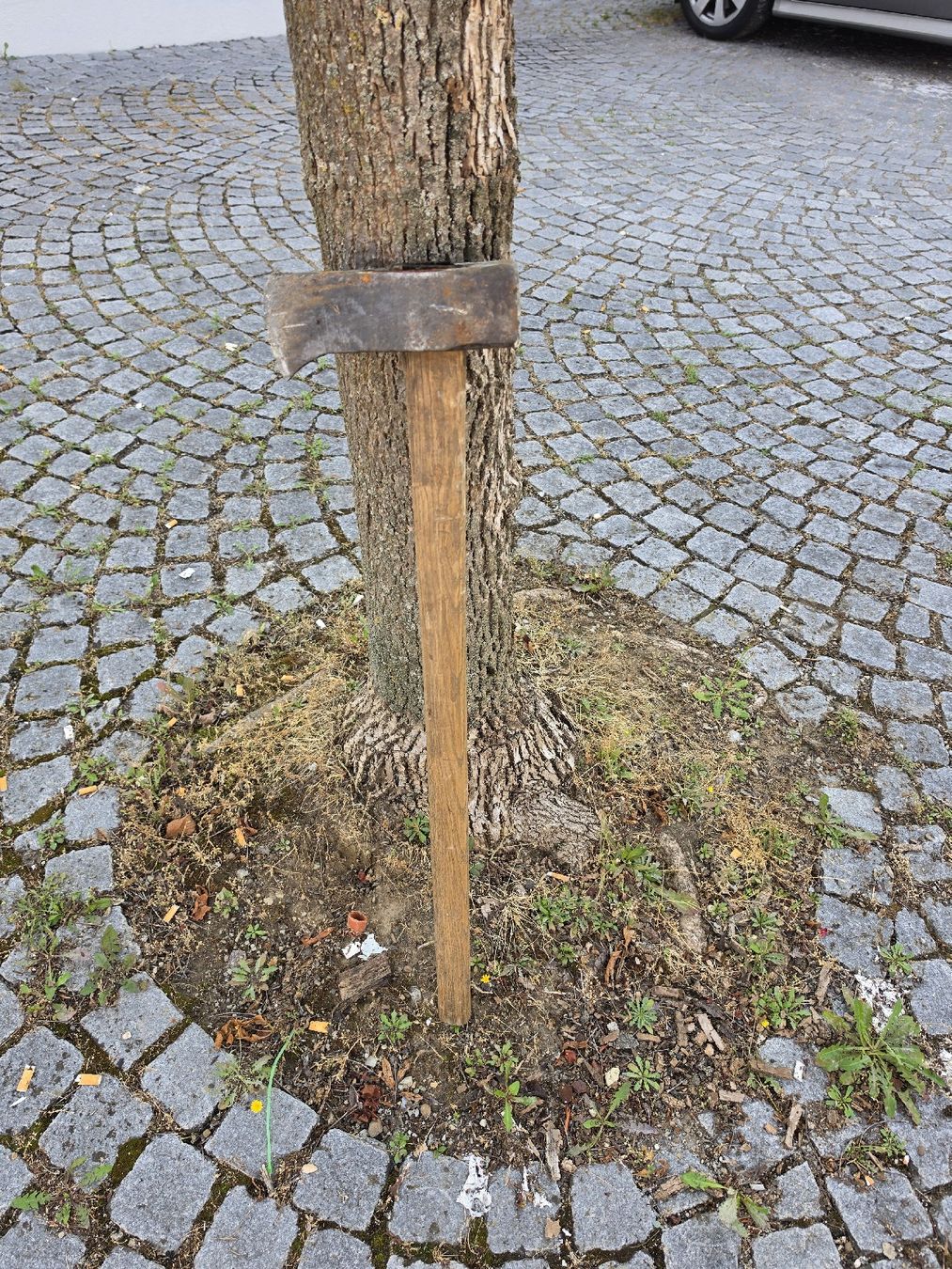 Tutti gli attrezzi: Beil mit Holzstiel gebraucht – Usato da Mettlen venduto da elios0888