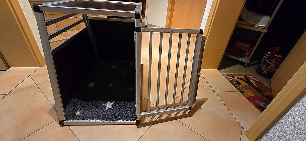 Cages, transport & sécurité: Hundbox - Auto  – D'occasion à Bischofszell par kaphorn65