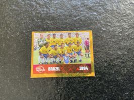 Panini Bild FWC 15