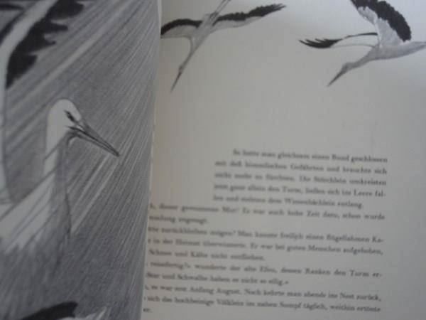 Libri: Familie Langbein - 1951 – Usato da Chur venduto da omonia 2