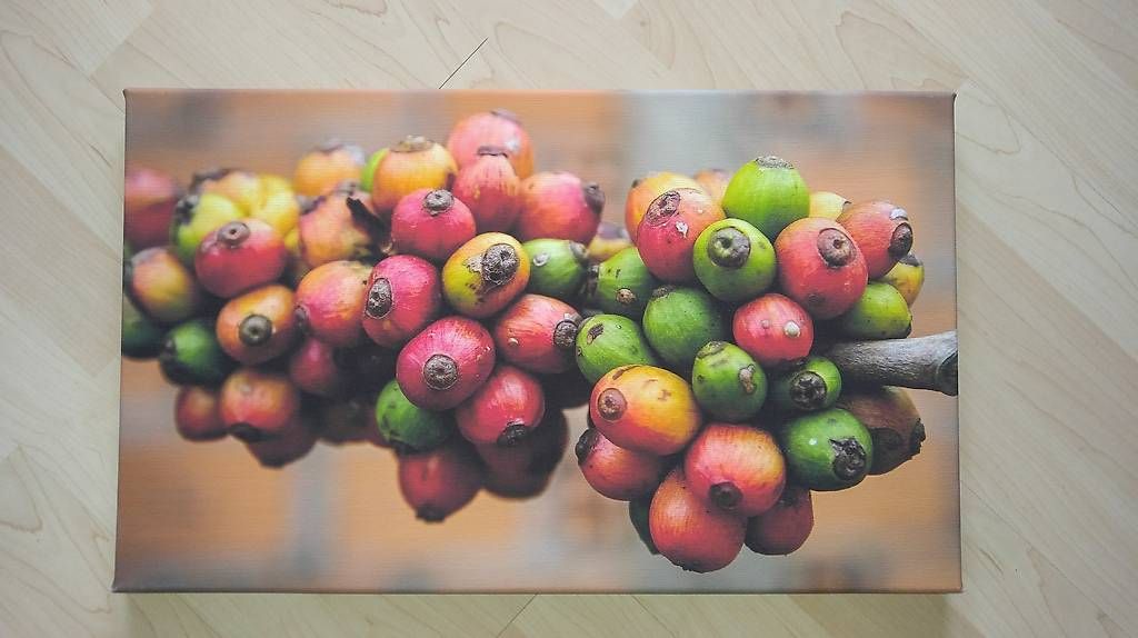Posters & Illustrations: Leinwandbild "KAFFEE" – D'occasion à Ballwil par bundy_ric