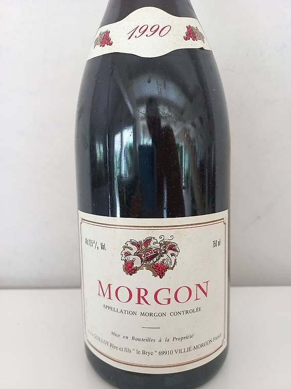 Vino: Vin Morgon 1990 – Usato da Ollon VD venduto da Timit 1