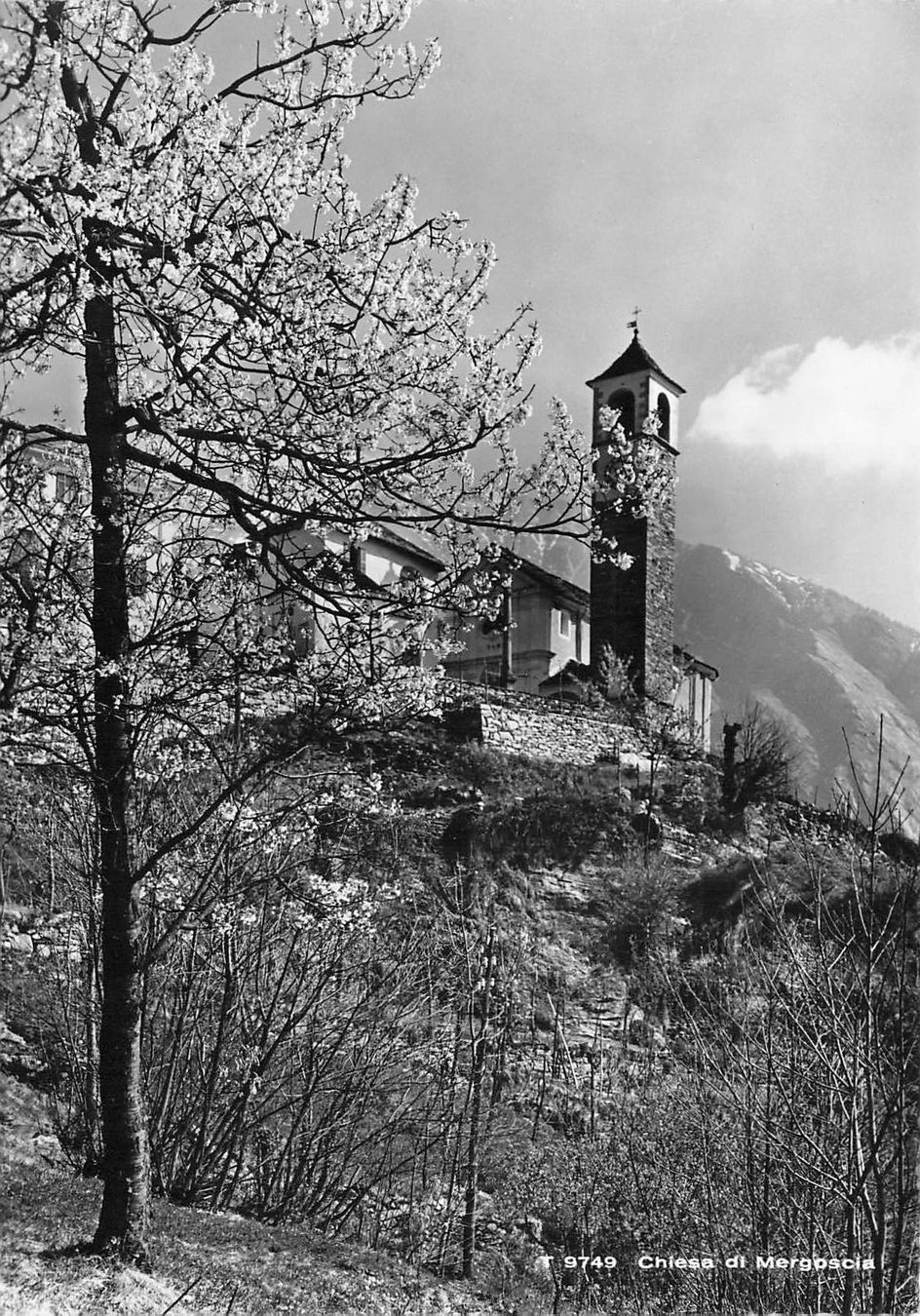 Cartoline postali: Megoscia Locarno G – Usato da Biasca venduto da Blenio71