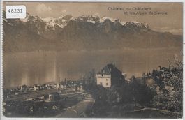Chateau du Chatelard et les Alpes de Savoie