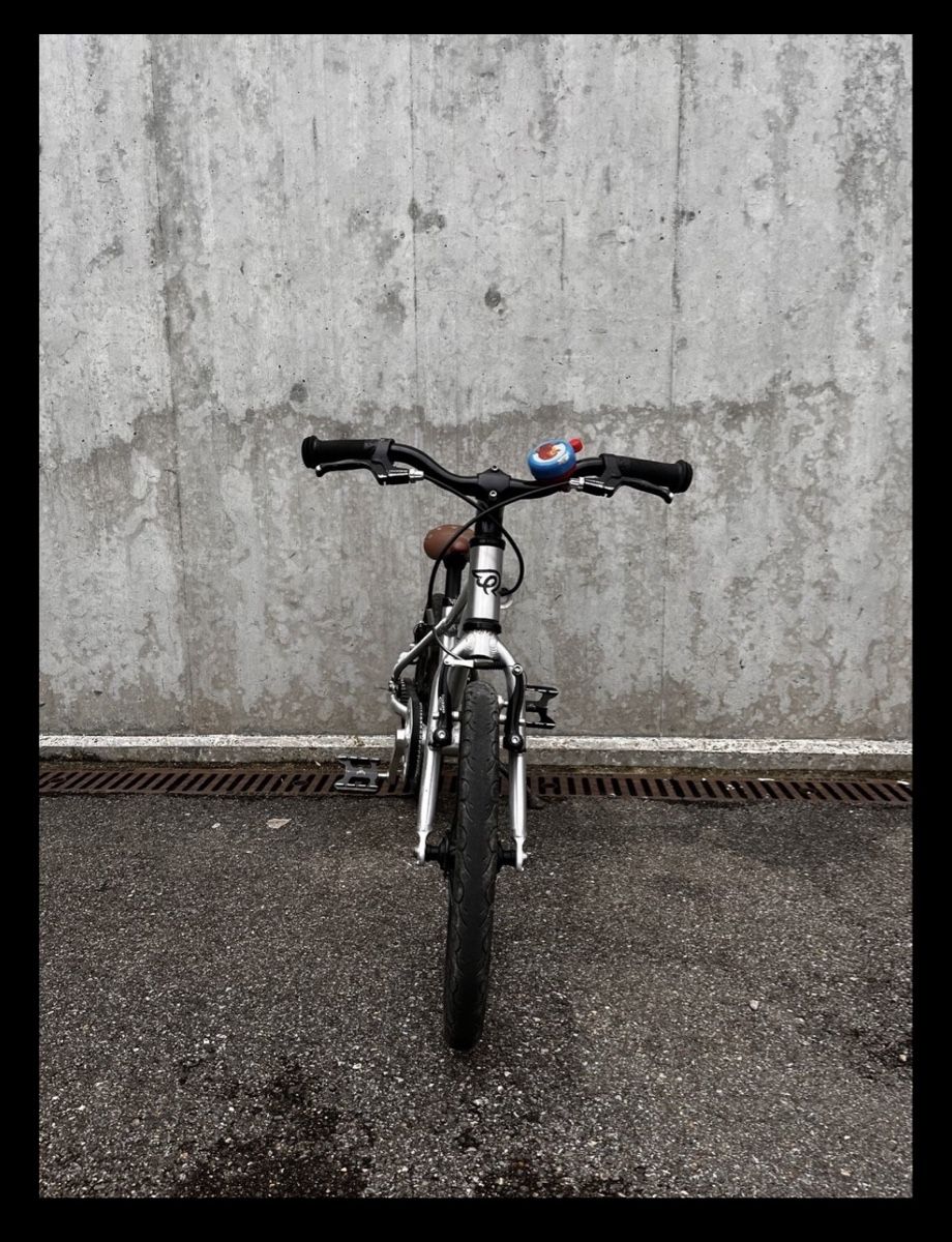 Early Rider Vélos: Early Rider Belter Urban 16" – D'occasion à St. Gallen par Kiwi023 3