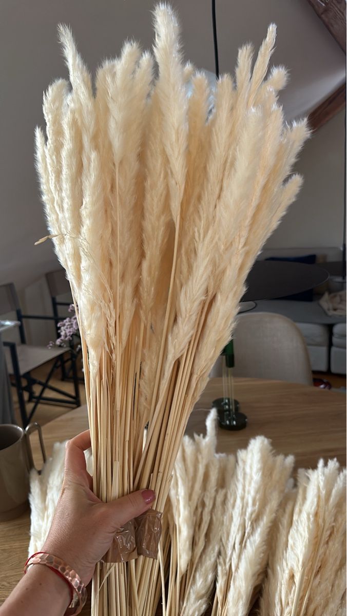 Tutte le decorazioni: Pampasgras, getrocknet, Top! – Nuovo e nell'imballaggio originale da Esslingen venduto da ell_rm5z 1