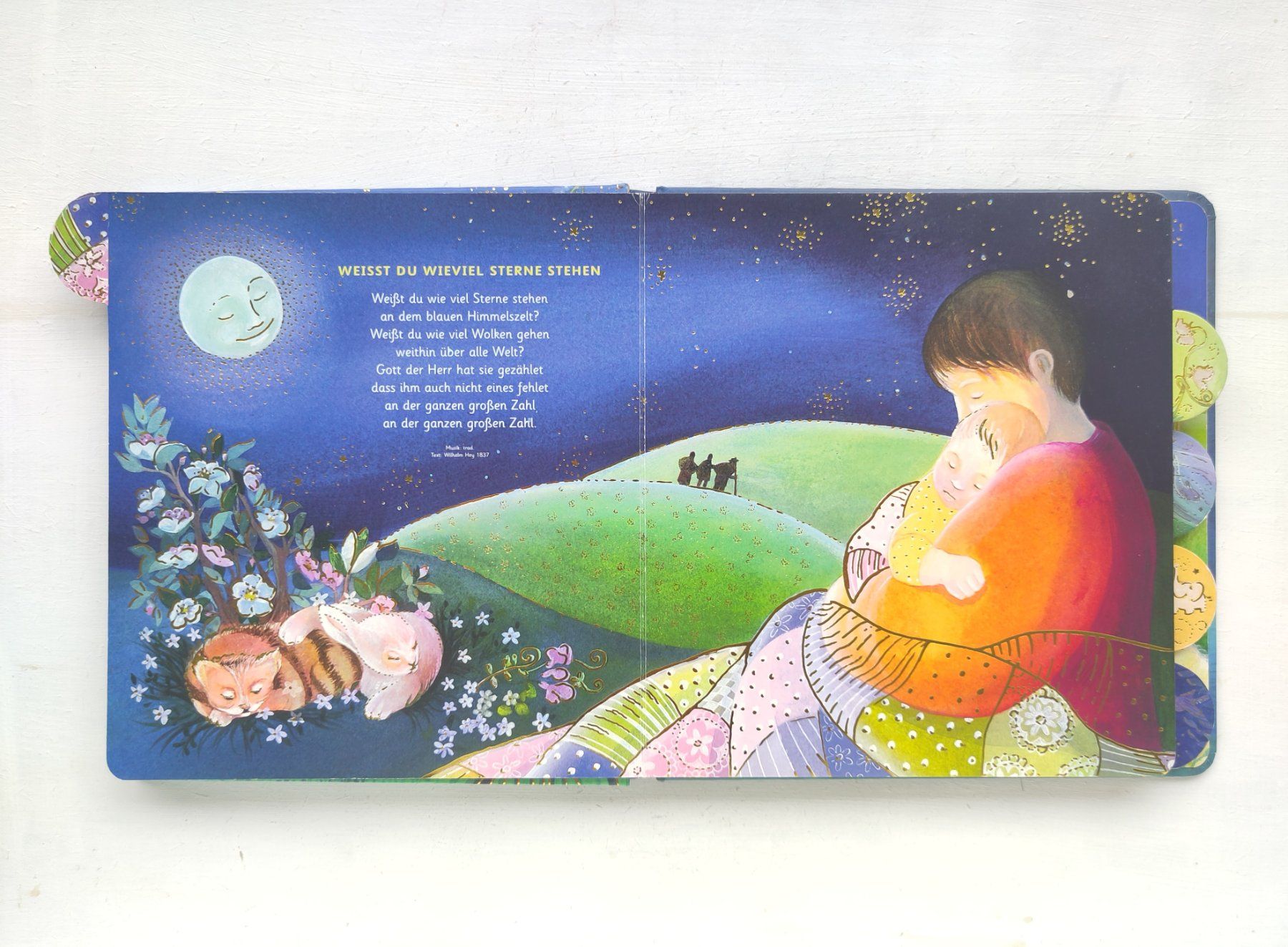 Bücher: MEINE LIEBSTEN SCHLAFLIEDER - GoBo Kinderbuch – Gebraucht aus Pfäffikon ZH von rabali 2