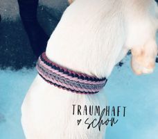 Paracord Halsband 40 cm Hundehalsband