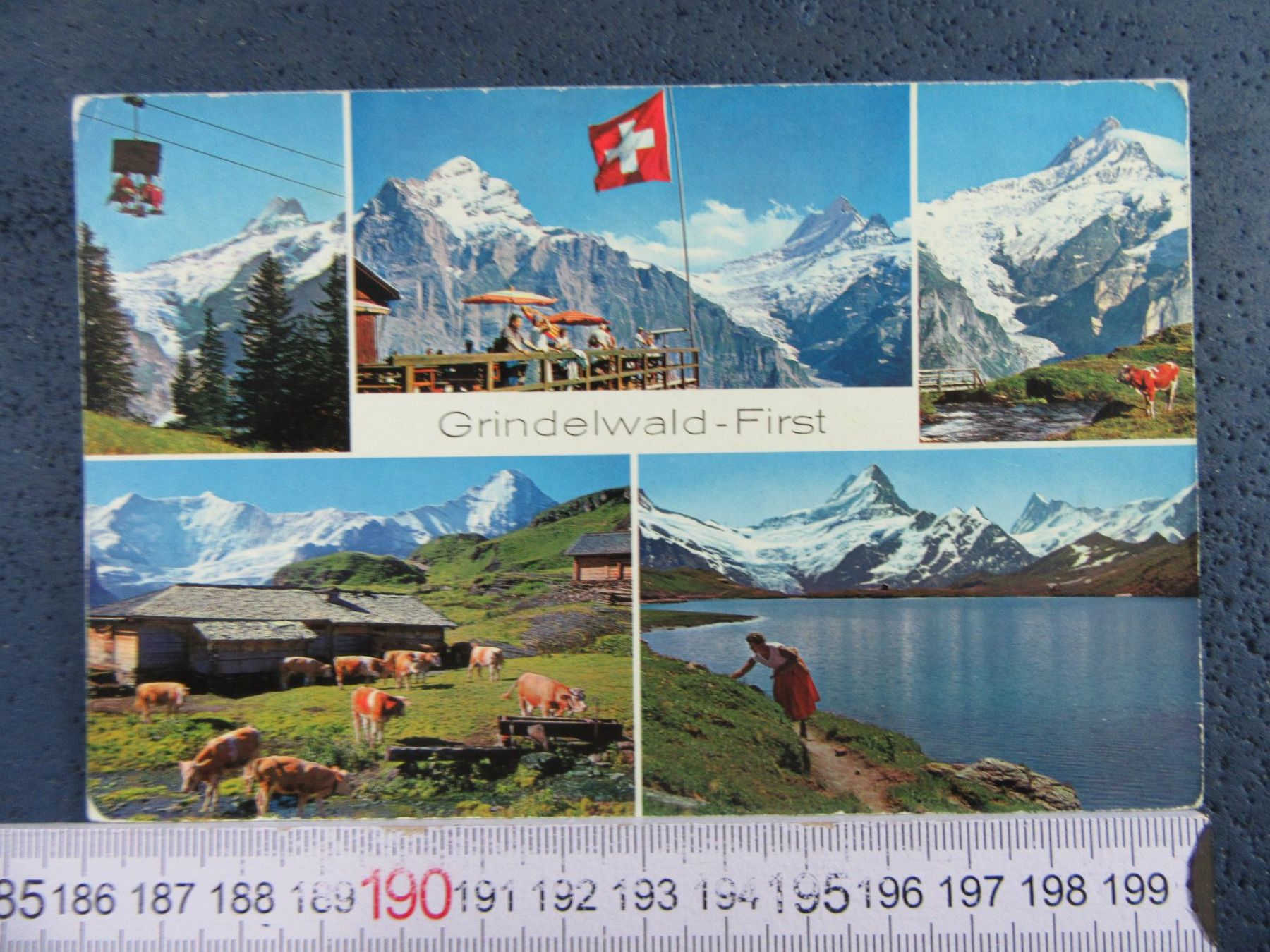Ansichtskarten: GRINDELWALD-FIRST SEELBAHN KUHHERDE 1965 AK ONW – Gebraucht aus Ettingen von Hausi4711