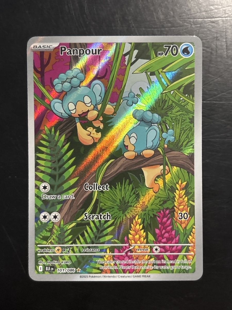 Pokémon Carte collezionabili: Panpour - BLK 101 🇺🇸 – Usato da Delémont venduto da mar_7ynr