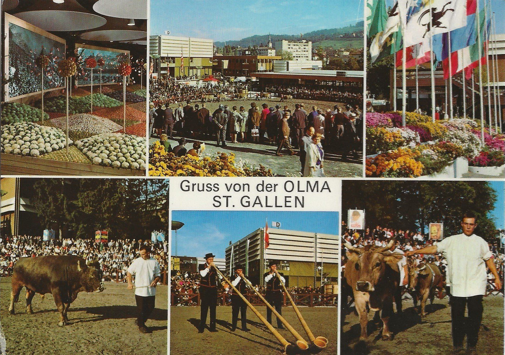 Cartes postales: Gruss von der Olma, St. Gallen – D'occasion à Frauenfeld par Merk52