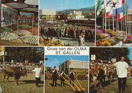 Gruss von der Olma, St. Gallen