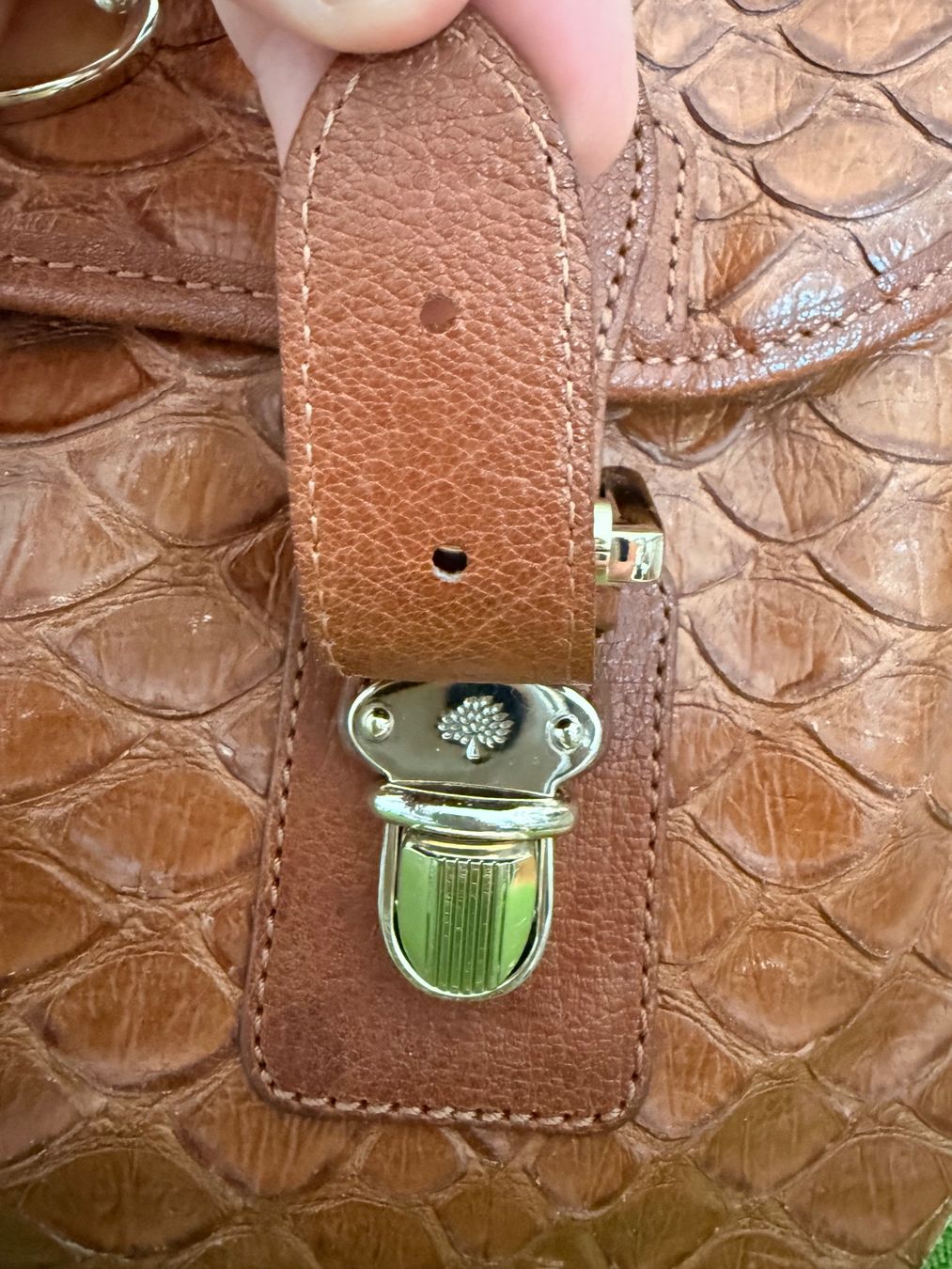 Mulberry Borse: Mulberry Oak Silky Snake Trout Bag – Usato da Frauenfeld venduto da Scleo 9