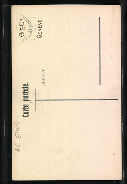 Cartoline postali: Schweizerin im Trachtenkleid mit Blumen – Usato da Berlin venduto da bartko-reher 1
