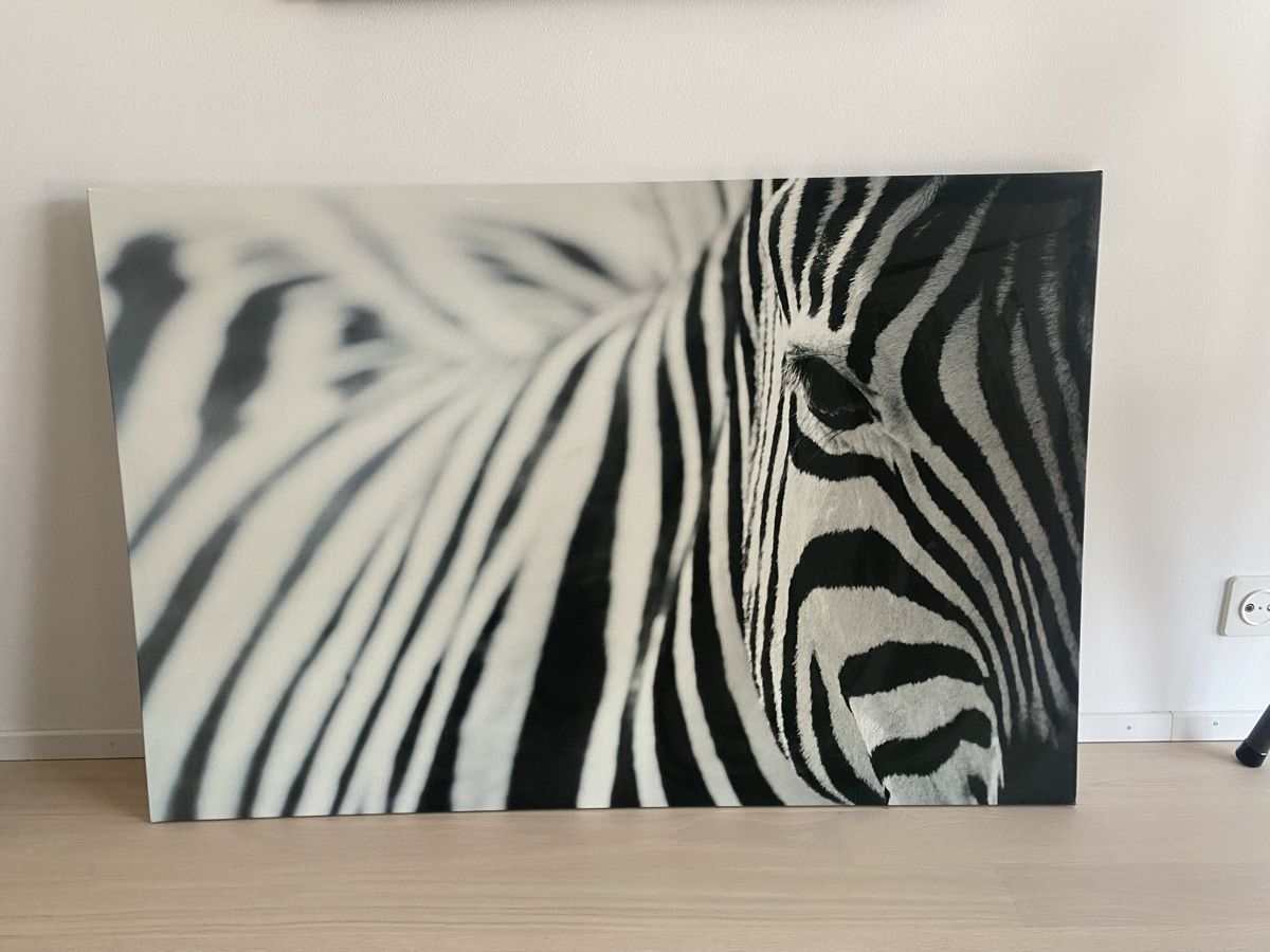 Foto & Immagini: Grosses Wandbild Zebra 🦓 – Usato da Winterthur venduto da Tizza_L