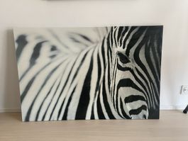 Grosses Wandbild Zebra 🦓