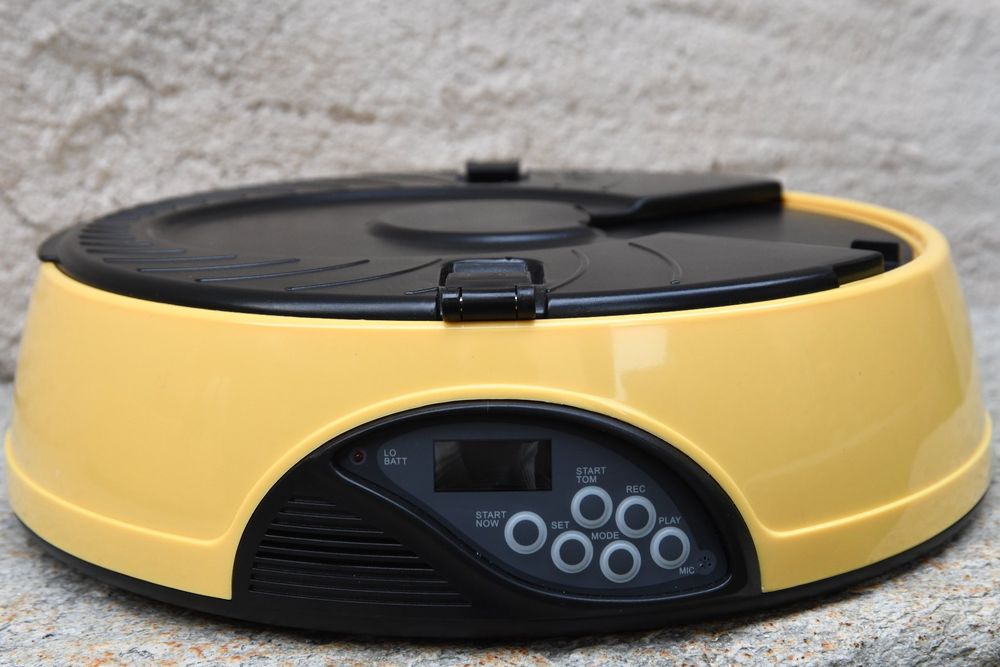 Automatischer Katzenfutterspender 2-in-1 - Futter Und Wasser Spender Grau