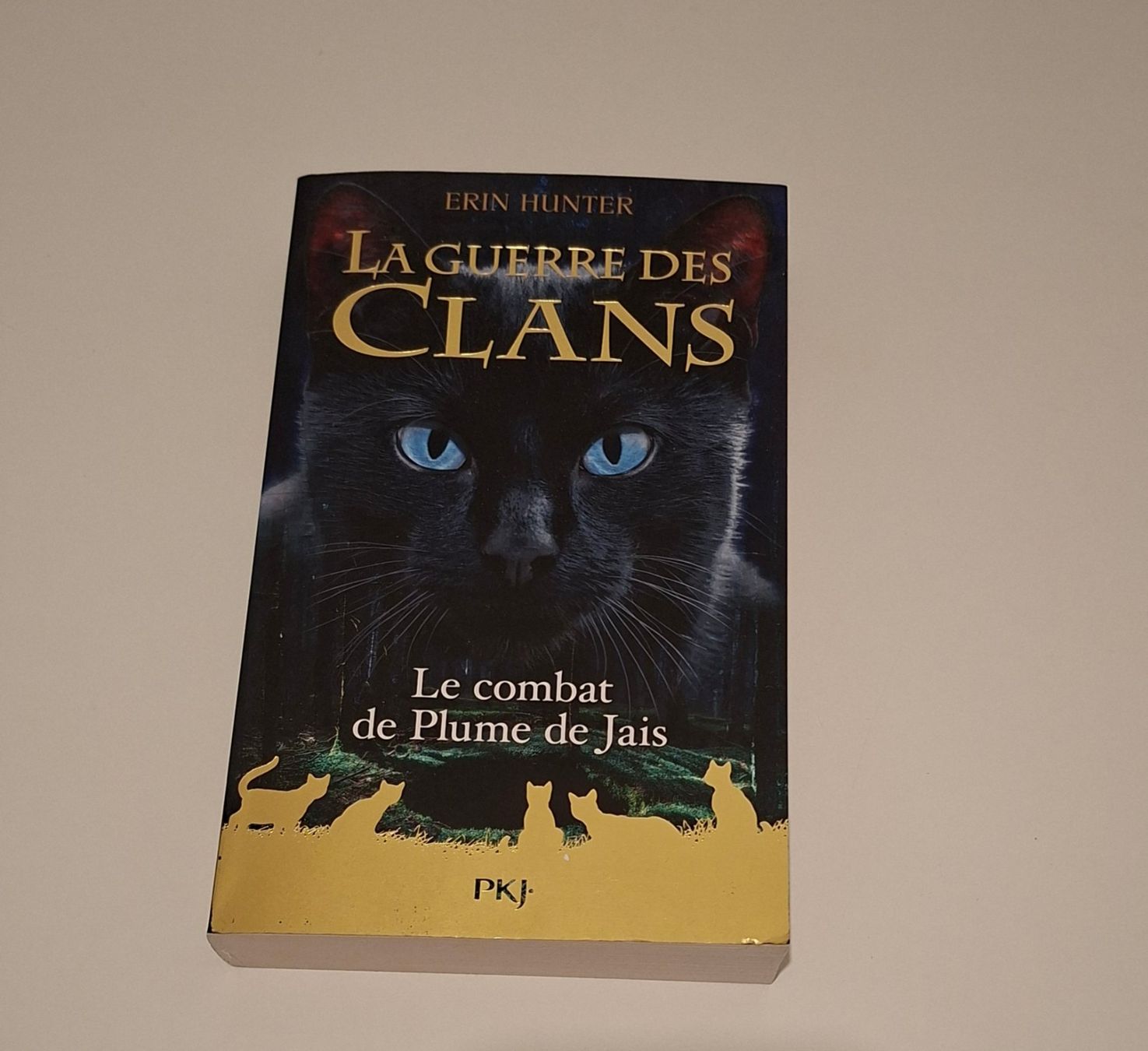 Libri: Le combat de Plume de Jais – Usato da Lausanne venduto da Cath_lausanne
