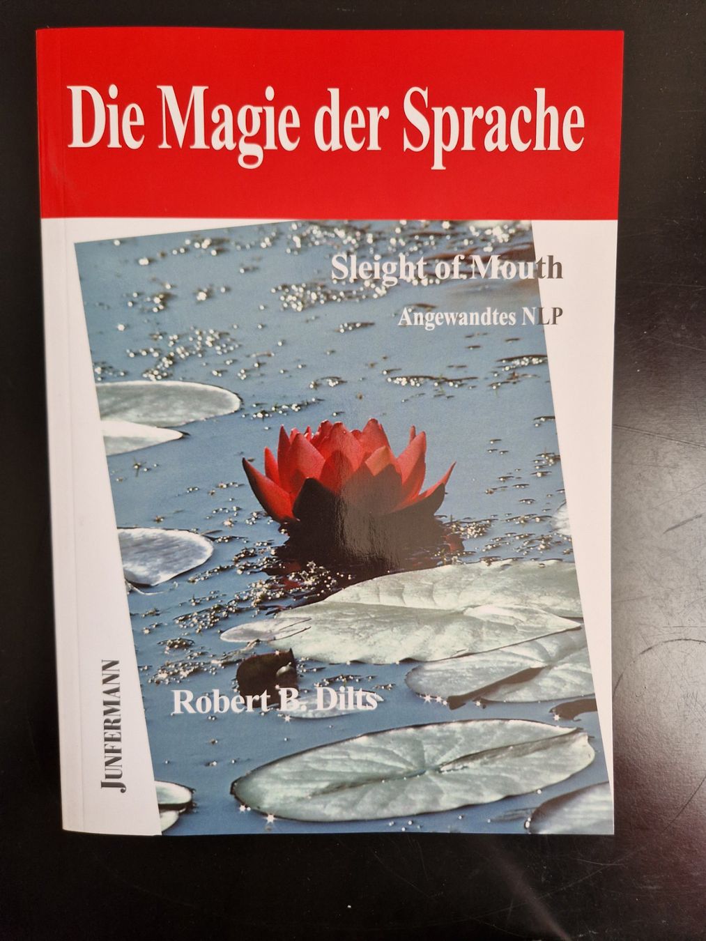 Libri: Die Magie der Sprache – Nuovo (secondo la descrizione) da Rüti ZH venduto da Gigelisuppe