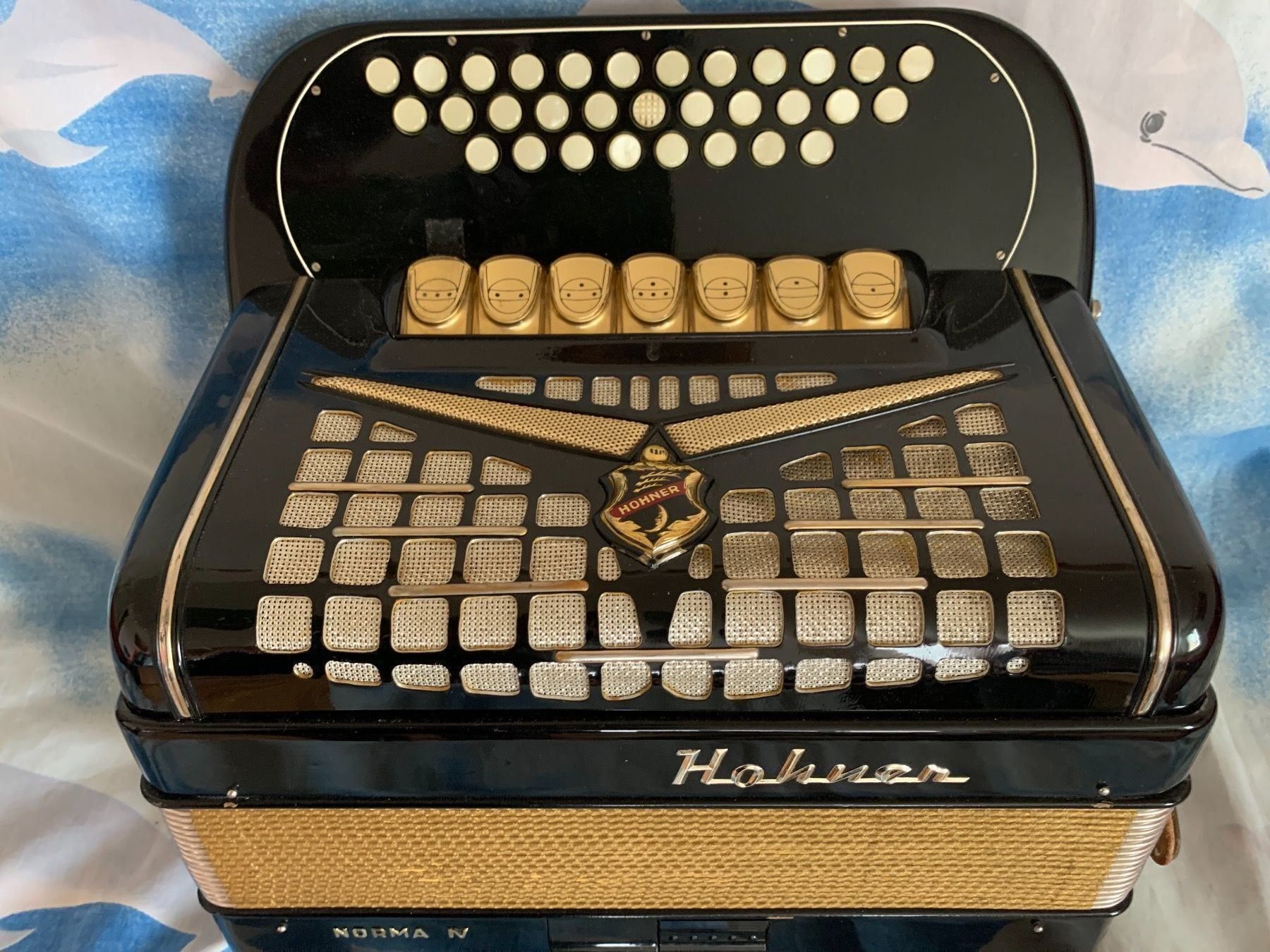 Hohner Strumenti musicali: Diatonisch Akkordeon – Usato da Zürich venduto da Olimpied