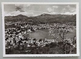 Lugano-Paradiso, Panorama