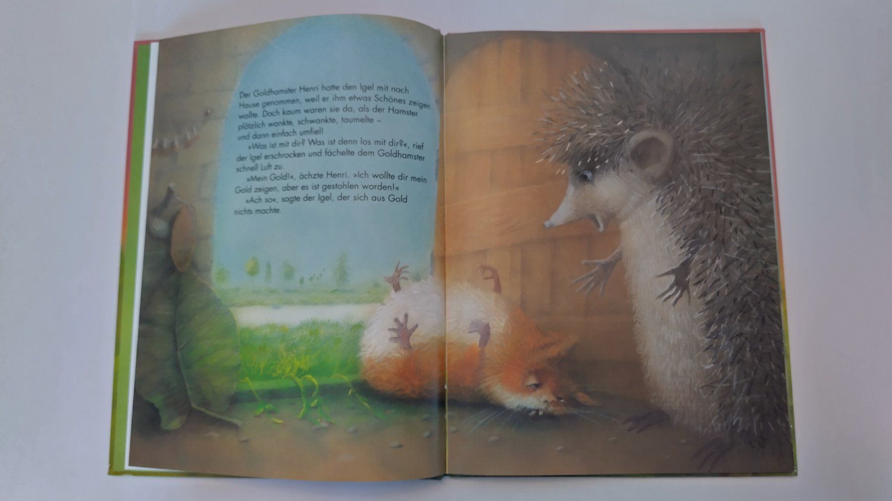 Libri: Wer hat dem Hamster das Gold gestohlen? / Bilderbuch – Usato da Bellach venduto da JingleJerry 5